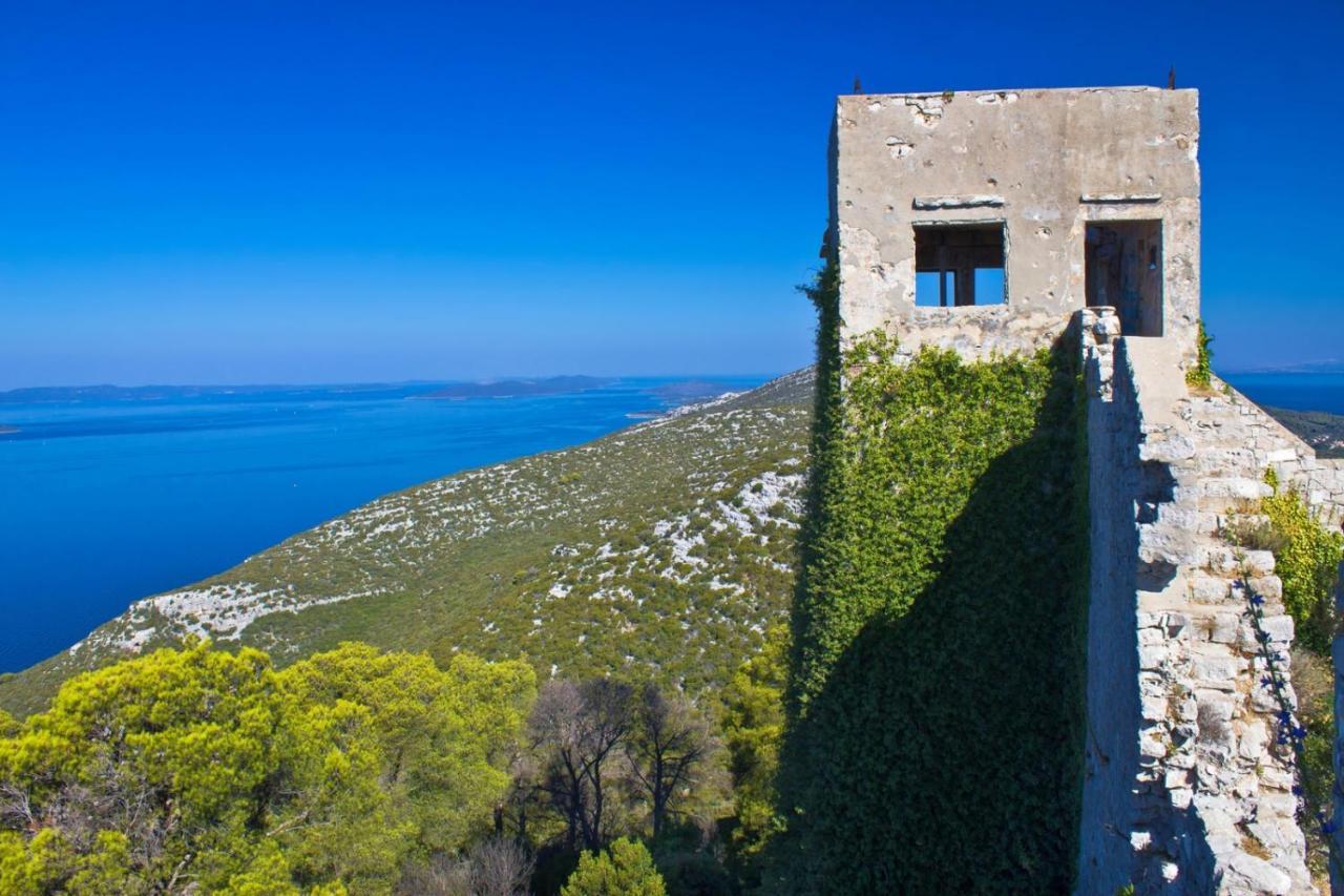 Studio Apartment In Preko With Sea View, Terrace, Air Conditioning, Wi-Fi 外观 照片